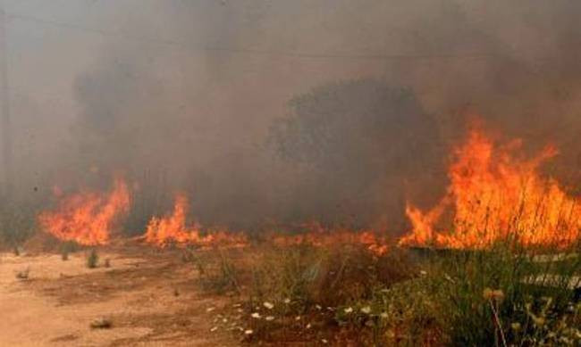 Ζάκυνθος: Πολύ κοντά στο χωριό Κοιλιωμένος οι φλόγες